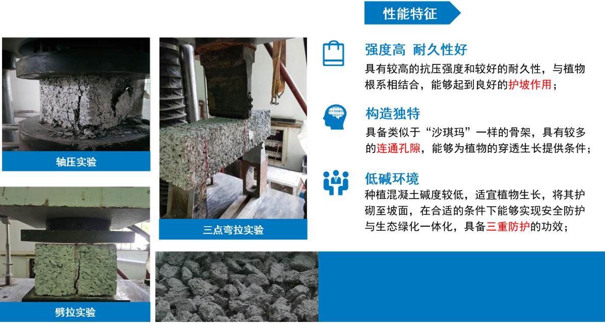 水泥木质（骨料）植生混凝土1.jpg
