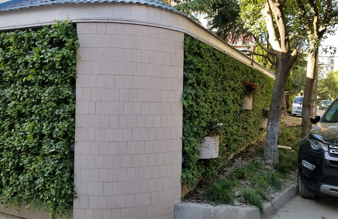 大渡河路-生态绿化墙（围墙）