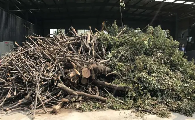 创新应用：水泥木质（骨料）混凝土